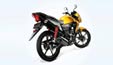 Honda Twister Back View