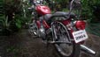 Royal Enfield Thunderbird Back Royal Enfield Thunderbird Back