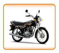 100 cc Bike