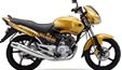 Yamaha Gladiator Yamaha Gladiator