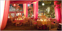 Wedding Decoration