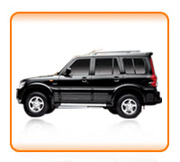 Sports Utility Vehcile (SUV) Car