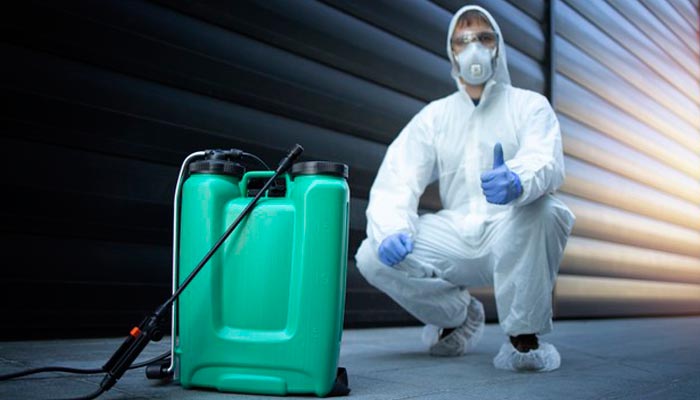 Pest Control Treatment