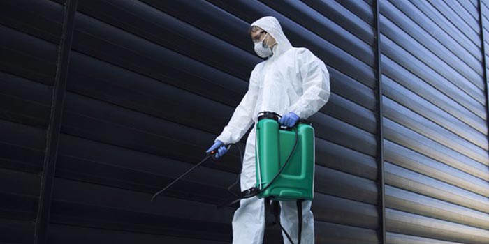 Pest Control And Management