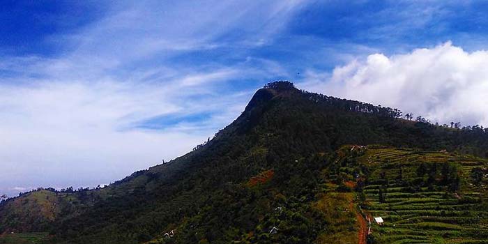 Perumal Trek