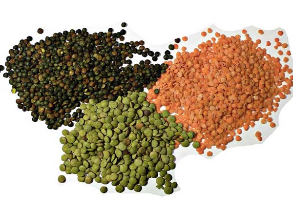 Lentils