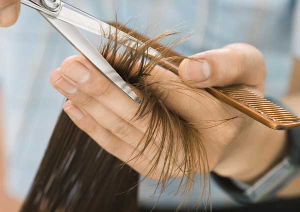 Regularly do hair trimming