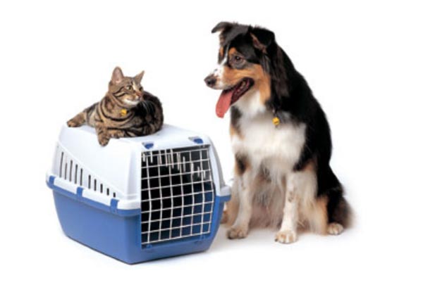Contact Pet Relocation Service Providers