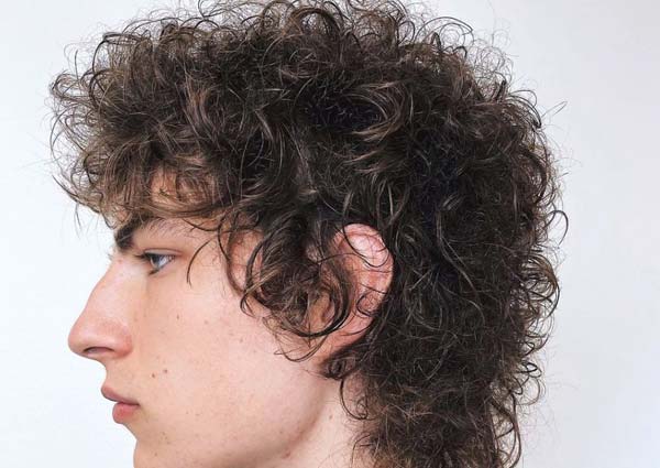 Shaggy Crop Curly Hairstyles