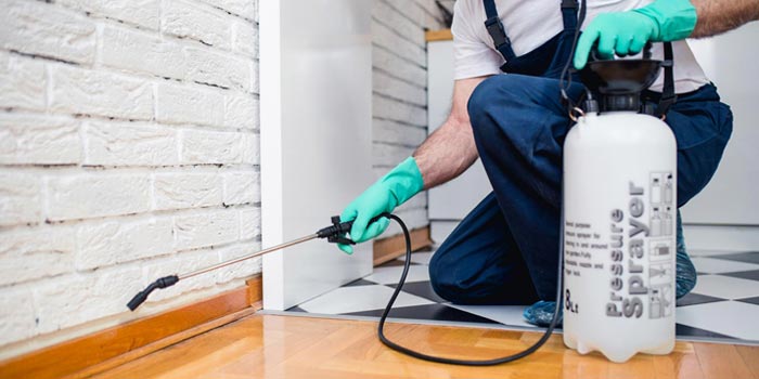 Top 10 Qualities of Good Pest Control Companies