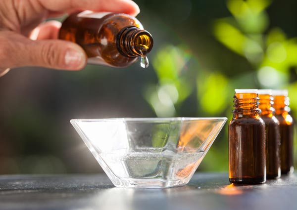 Essential oils for pest control