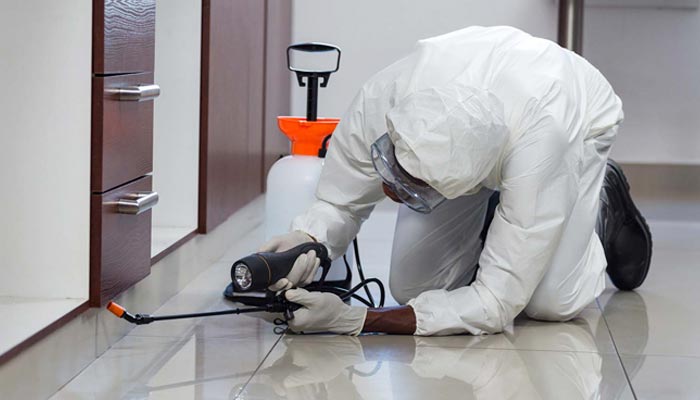 Pest Control Service