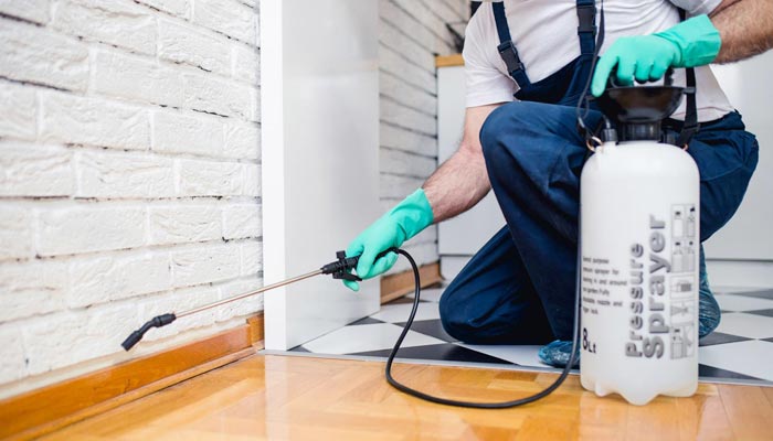 Things to Do Before & After Pest Control Treatment in Your Home!!!
