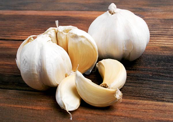 Garlic