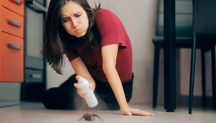 5 Most Common Pests in Every Indian Home and Their Impact!