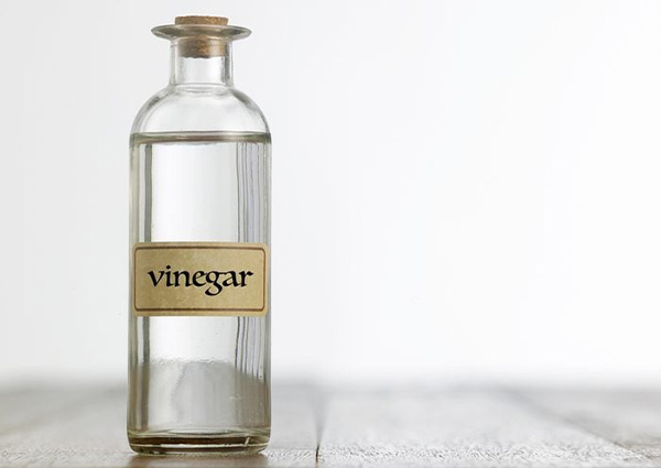 vinegar