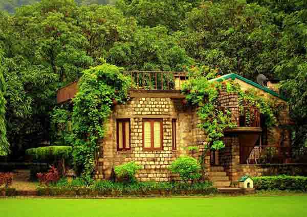 Den Corbett Uttarakhand