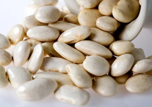 White Beans