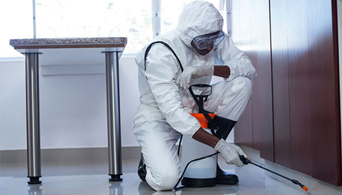 7 Benefits of Pest Control Services – Surf India