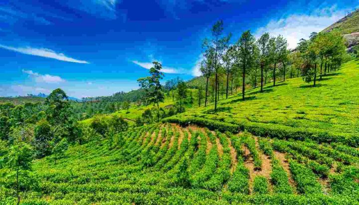 Top 10 places to visit in south India
