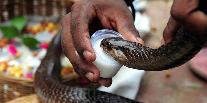 Naag Panchami